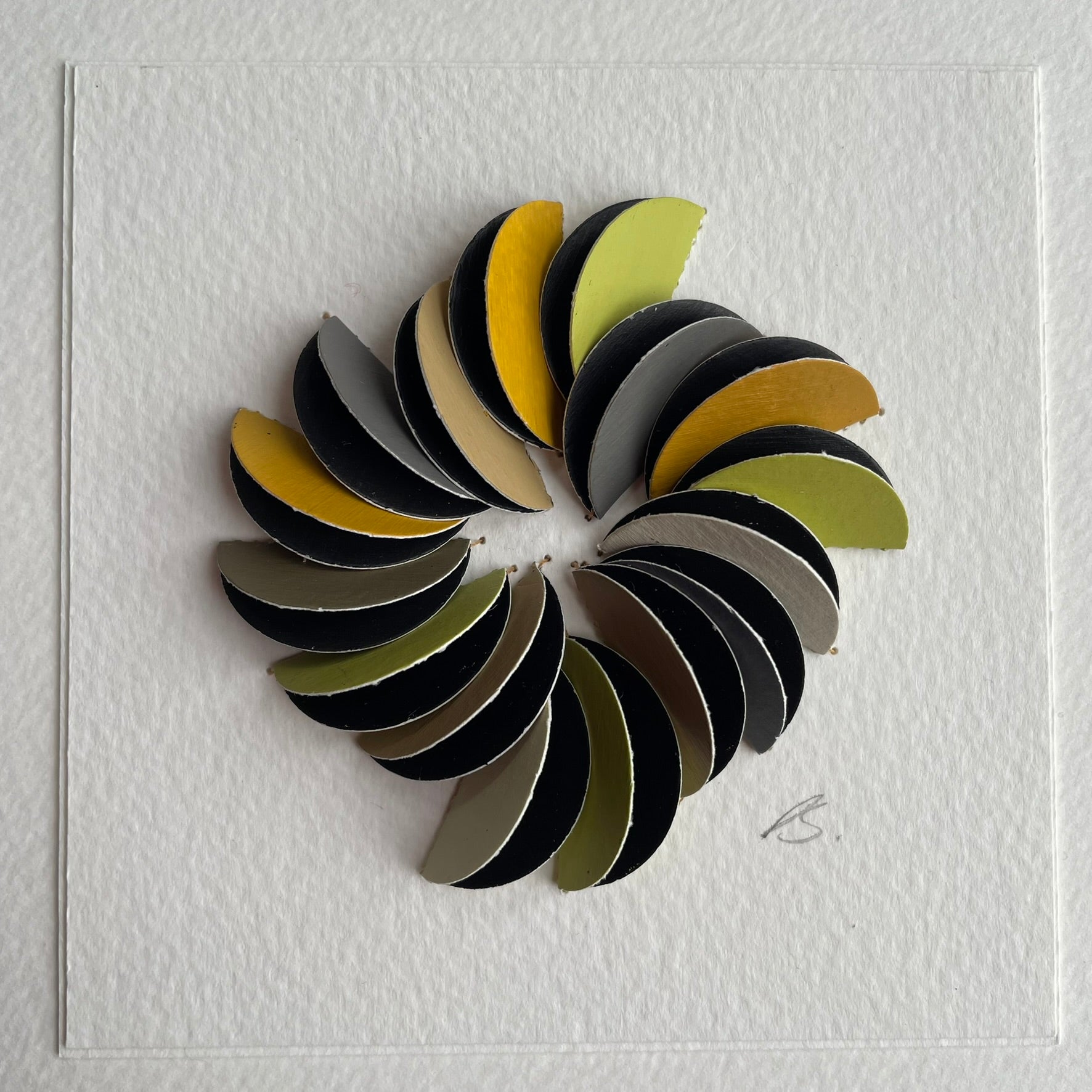 Lichen Micro (framed)