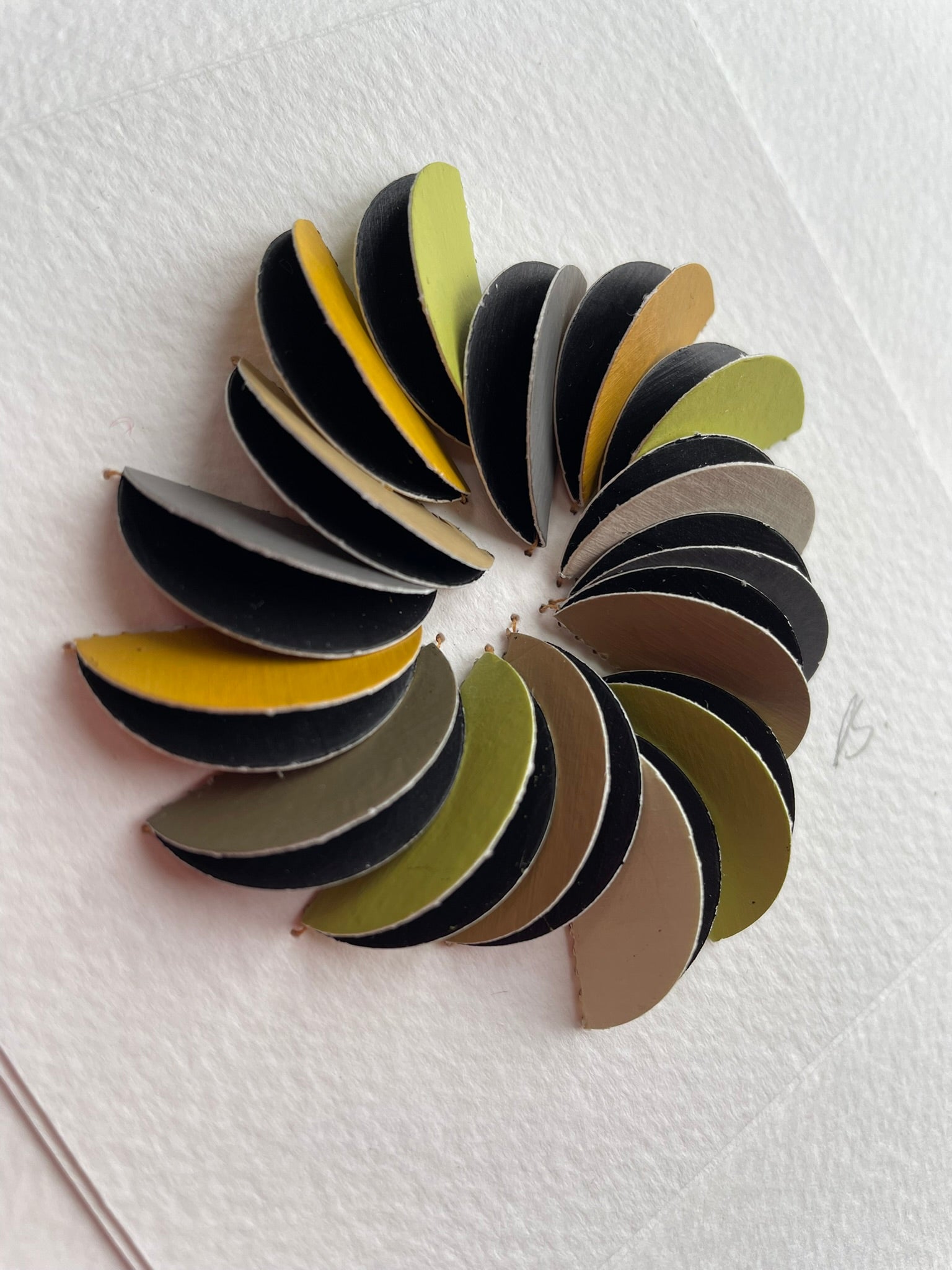 Lichen Micro (framed)